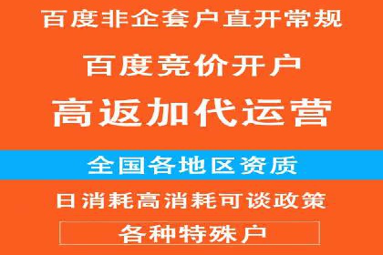 案例分享：百度竞价广告投放策略与效果